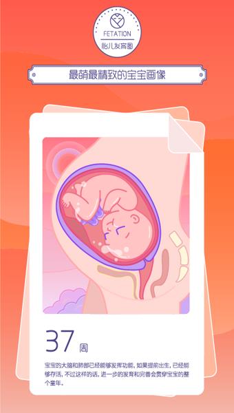加丁妈妈  v3.9图2