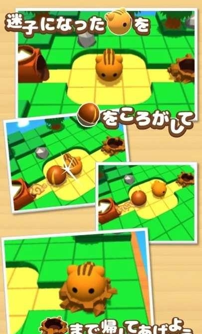 滚动的小松鼠  v1.0.2图3