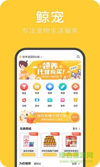 鲸宠  v2.0.0图2