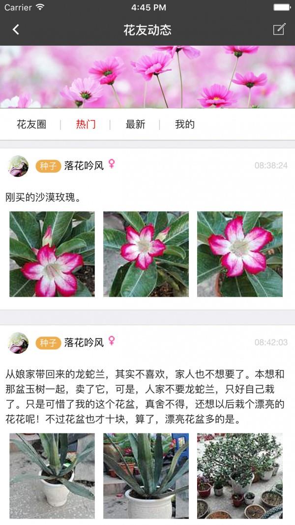 枫桥居花卉  v3.4.3图2