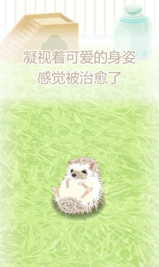 治愈的猬育成