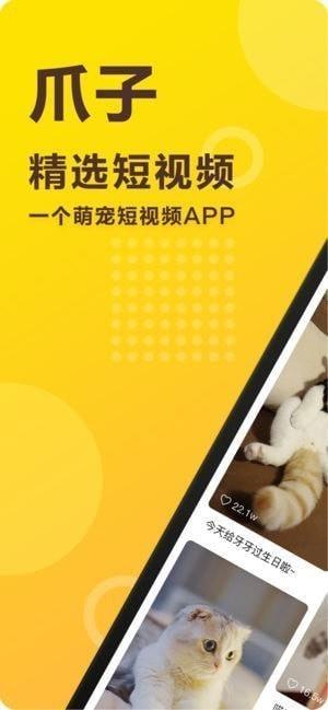 爪子  v1.0.3图1