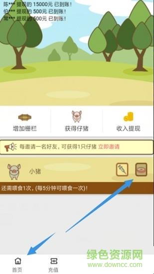 趣赚养猪  v1.0.1图2