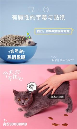 猫饼短视频  v2.0.0图3