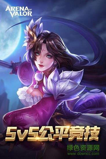 王者荣耀国际服  v1.46.2.2图3