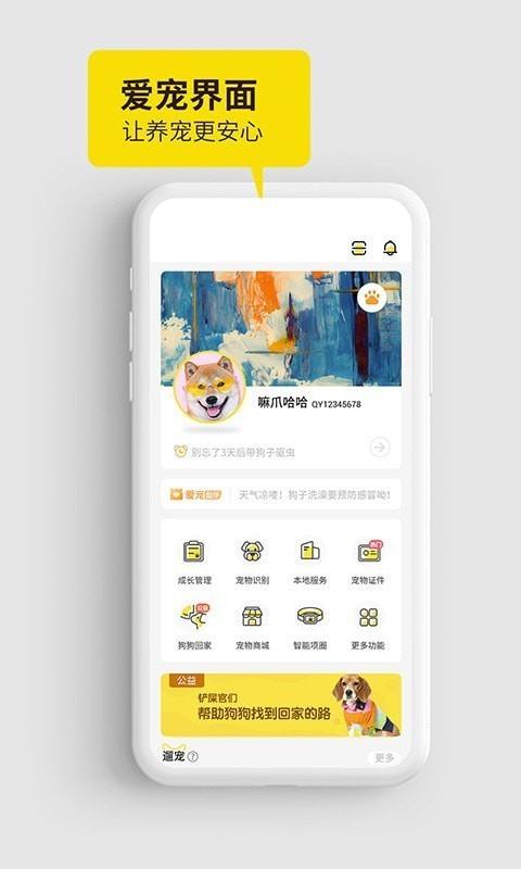 犬易  v4.2.4图1