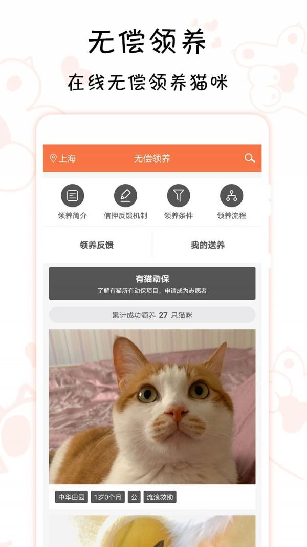有猫