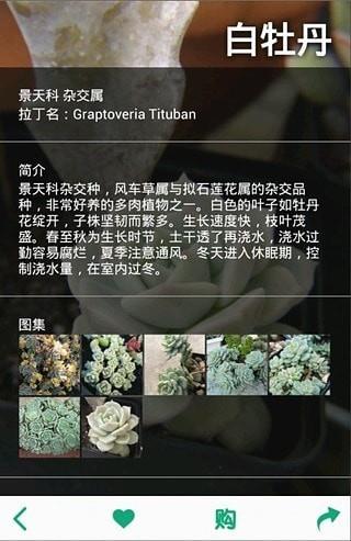 多肉植物  v2.5.5图3