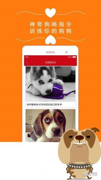 狗狗之家  v1.0图2