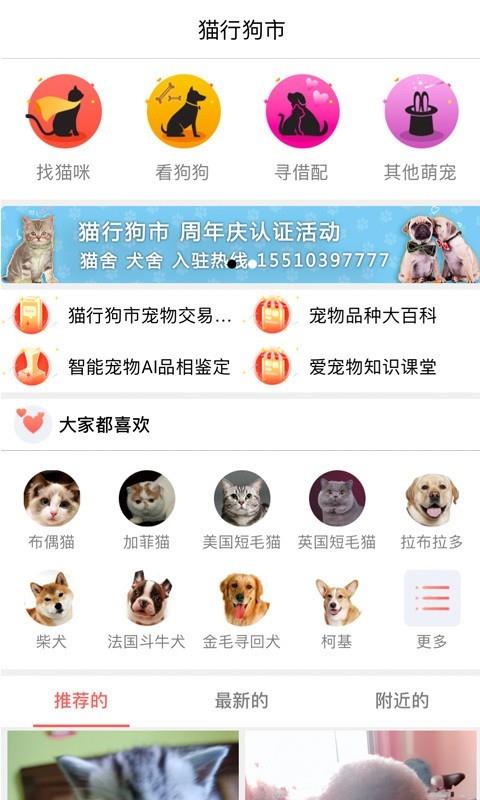 猫行狗市  v4.1.3图2