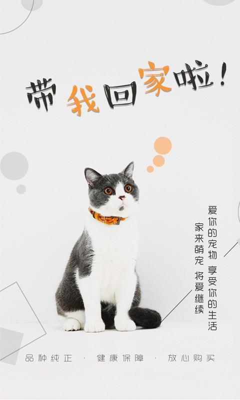 猫行狗市  v4.1.3图1