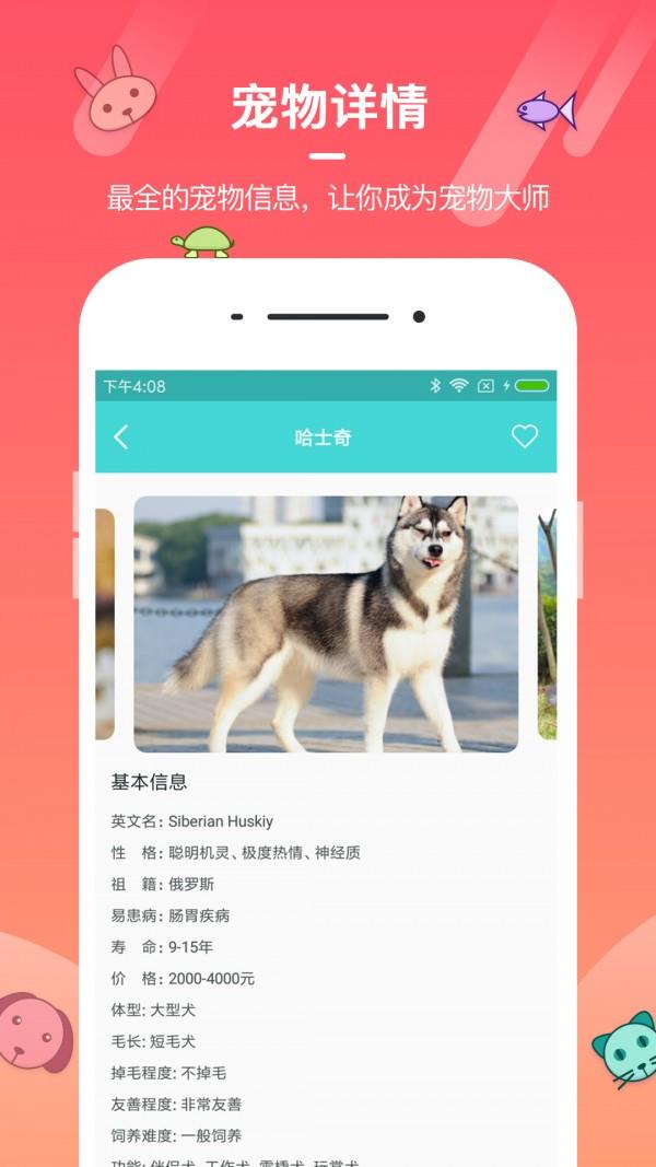 宠物养成大师  v2.00图4