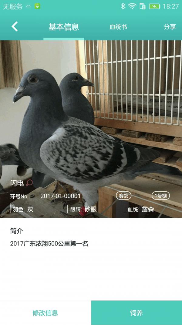 口袋鸽舍  v1.0.3图5