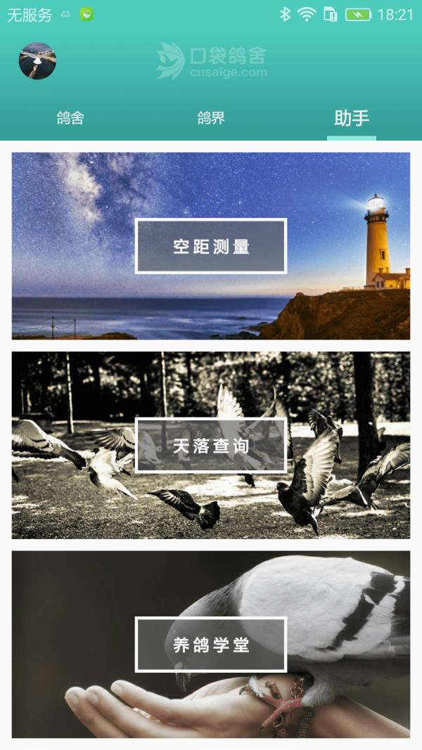 口袋鸽舍  v1.0.3图3