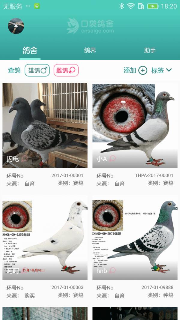 口袋鸽舍  v1.0.3图1