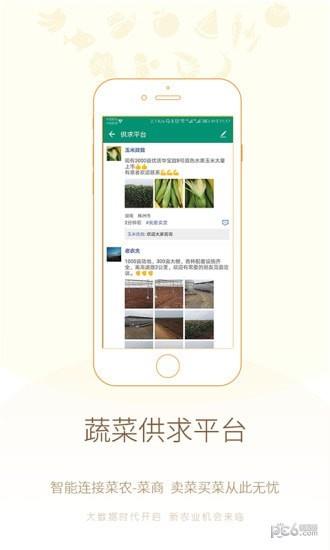 真甜农服  v1.0.3图2