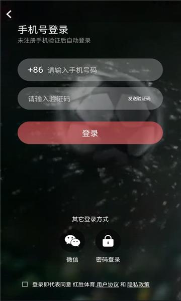 红胜体育官方版  v2.6.0图1