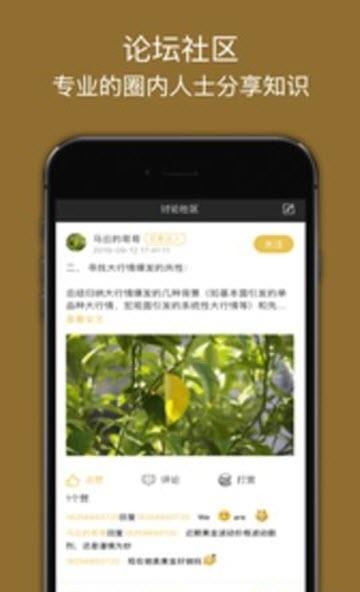 金期汇  v1.0图3