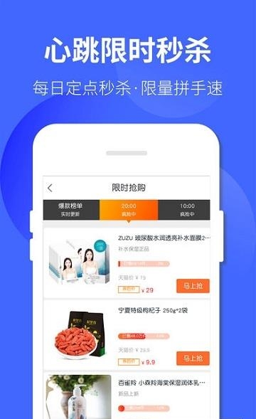 掌小龙