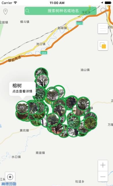 广东古树名木  v1.0.3图4