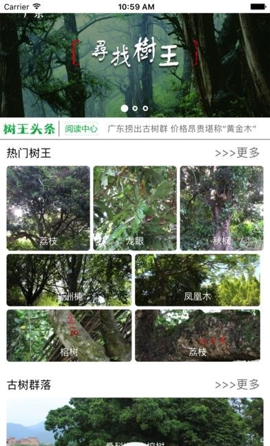 广东古树名木