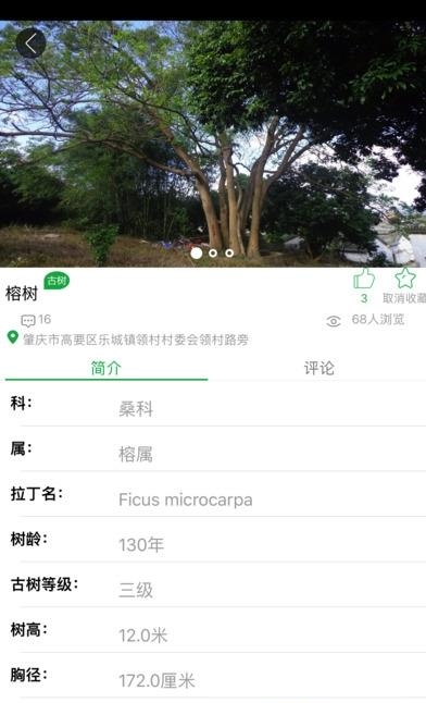 广东古树名木  v1.0.3图3