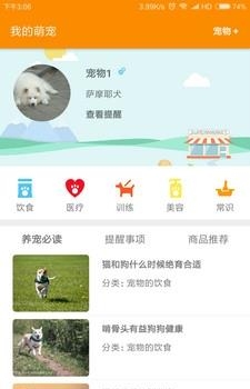 捏捏宠