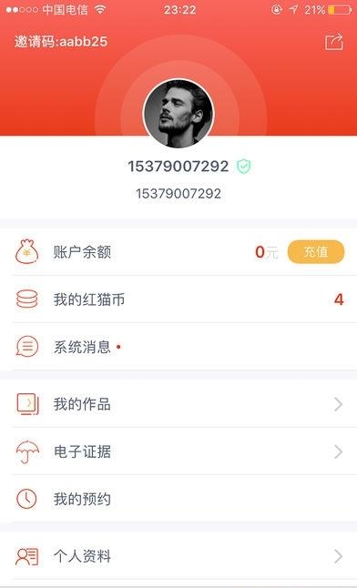 E防标