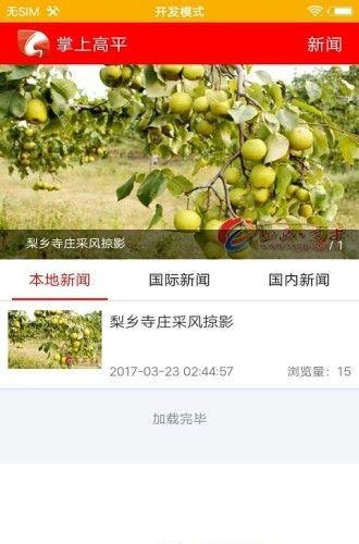 掌上高平