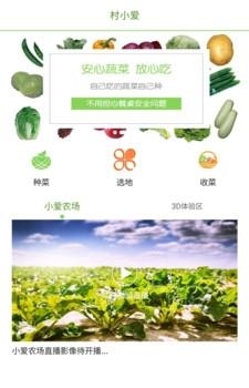 村小爱