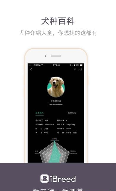 iBreed  v1.0图5