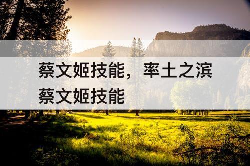 蔡文姬技能，率土之滨蔡文姬技能