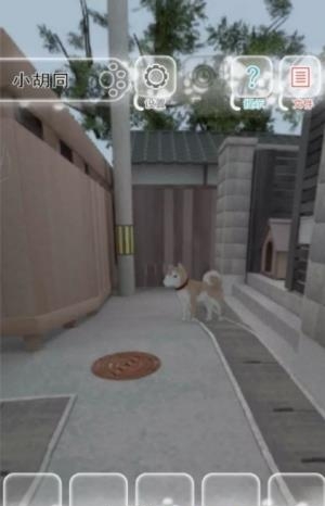 迷途猫  v1.1图3