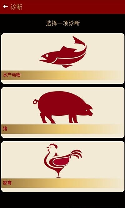 挺好e线