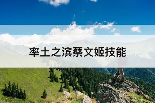 率土之滨蔡文姬技能