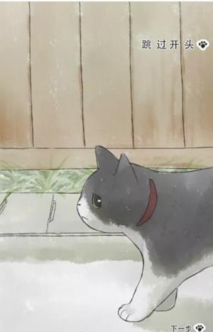 迷途猫  v1.1图4