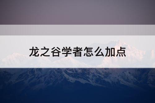 龙之谷学者怎么加点