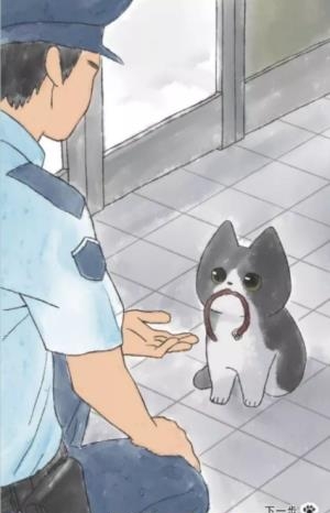 迷途猫