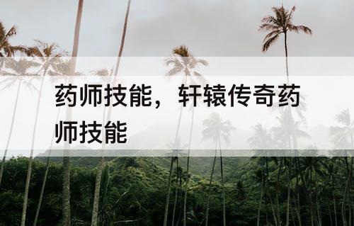 药师技能，轩辕传奇药师技能