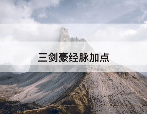 三剑豪经脉加点