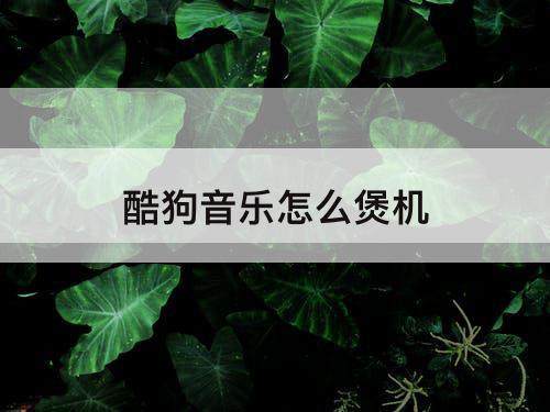 酷狗音乐怎么煲机