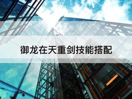 御龙在天重剑技能搭配