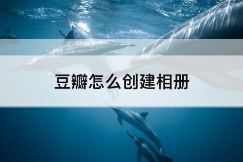 豆瓣怎么创建相册