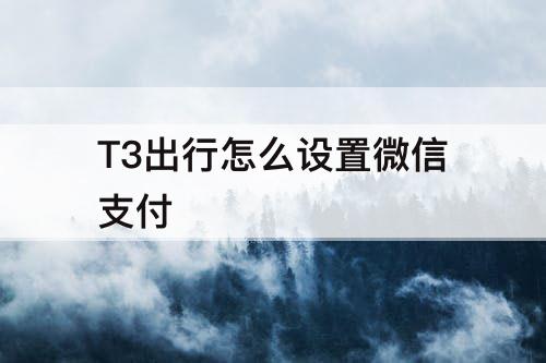T3出行怎么设置微信支付