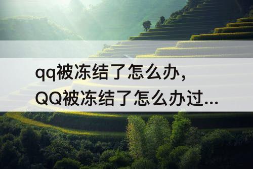 qq被冻结了怎么办，QQ被冻结了怎么办过几天会回来吗