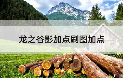 龙之谷影加点刷图加点