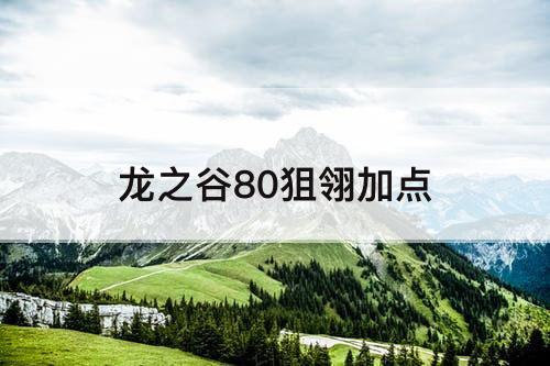 龙之谷80狙翎加点