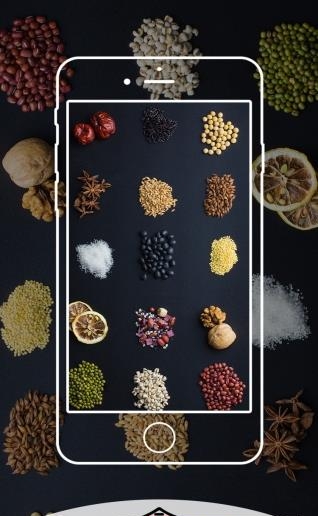食情话意
