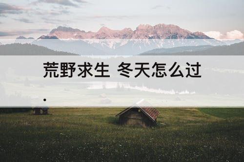 荒野求生 冬天怎么过.