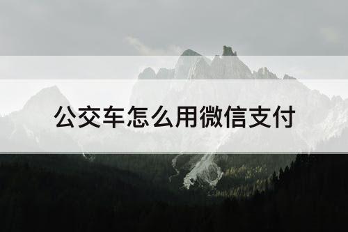 公交车怎么用微信支付